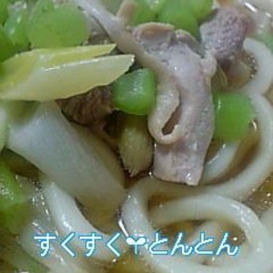 鶏ねぎ煮込みうどん